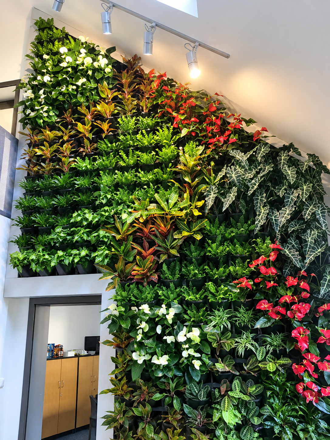 Lush Vertical Garden Office Interior