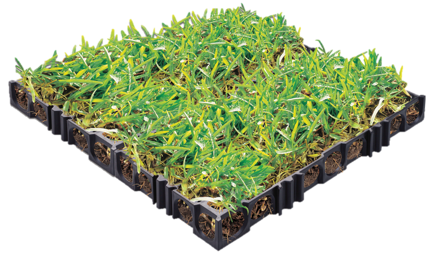 New Turf Cell